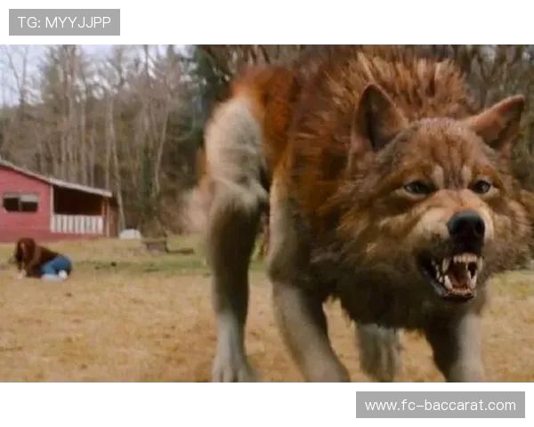 《探索不同007世界的游戏乐趣体验与角色扮演之旅》 《探索不同007世界的游戏乐趣体验与角色扮演之旅》